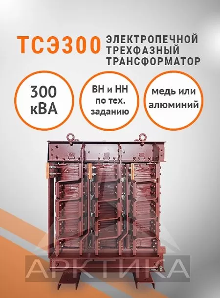 ТСЭ-300,0